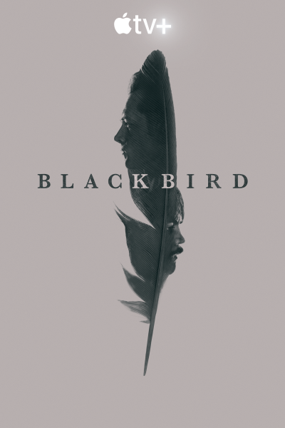 Black Bird